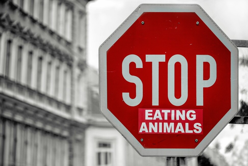 go vegan, stop eating animals