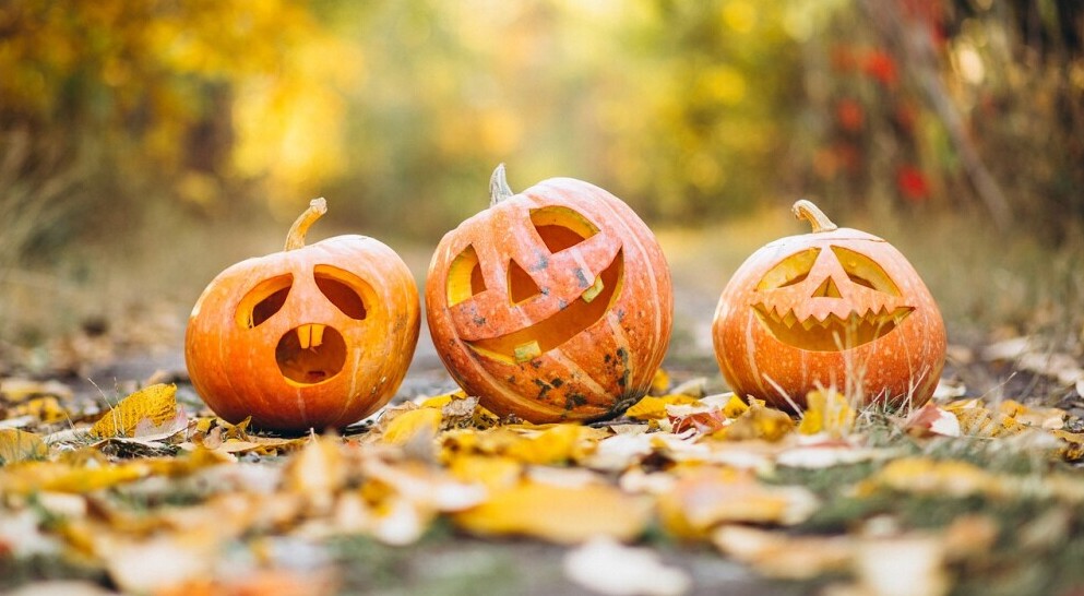 jack-o-lantern pumpkins