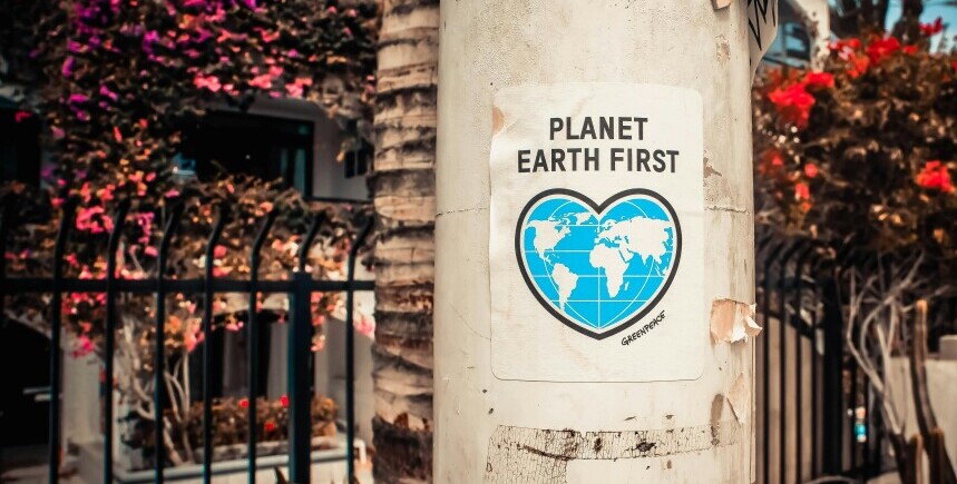 vegan planet first