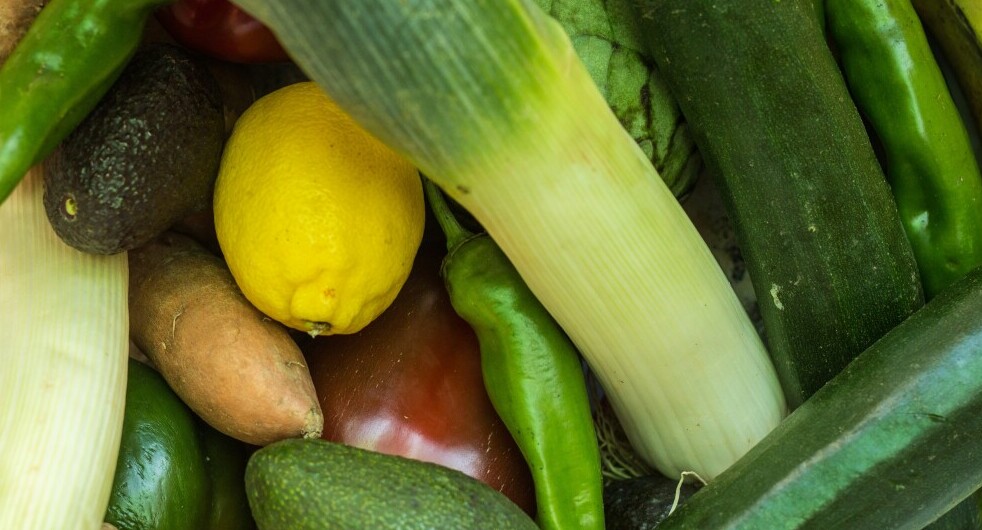 vegetables lemon bok choy pepper avocado