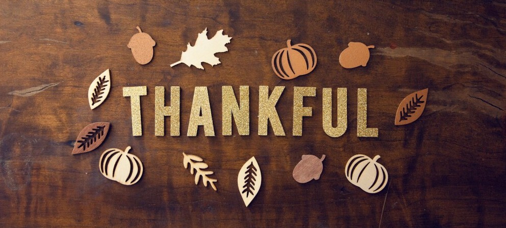 Thankful Thanksgiving